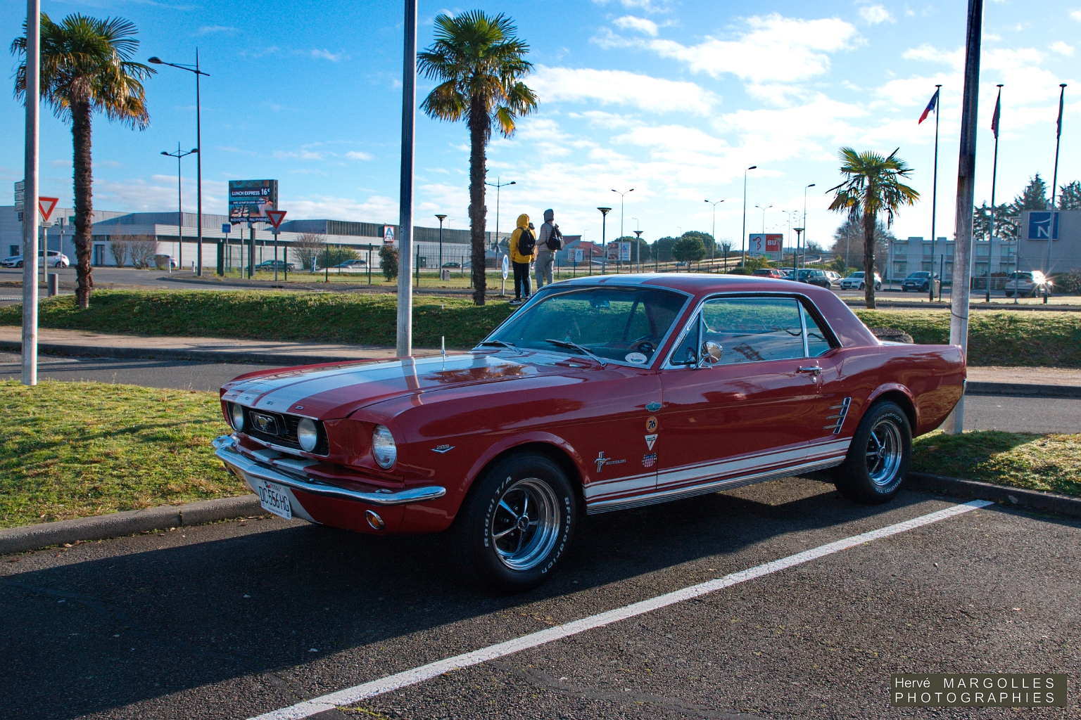 Ford Mustang -01.jpg